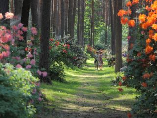 Pirmo reizi Igaunijā un Latvijā notiek “Atvērtās dienas Dārza pērlēs”